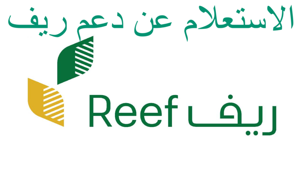 رابط تسجيل دعم ريف